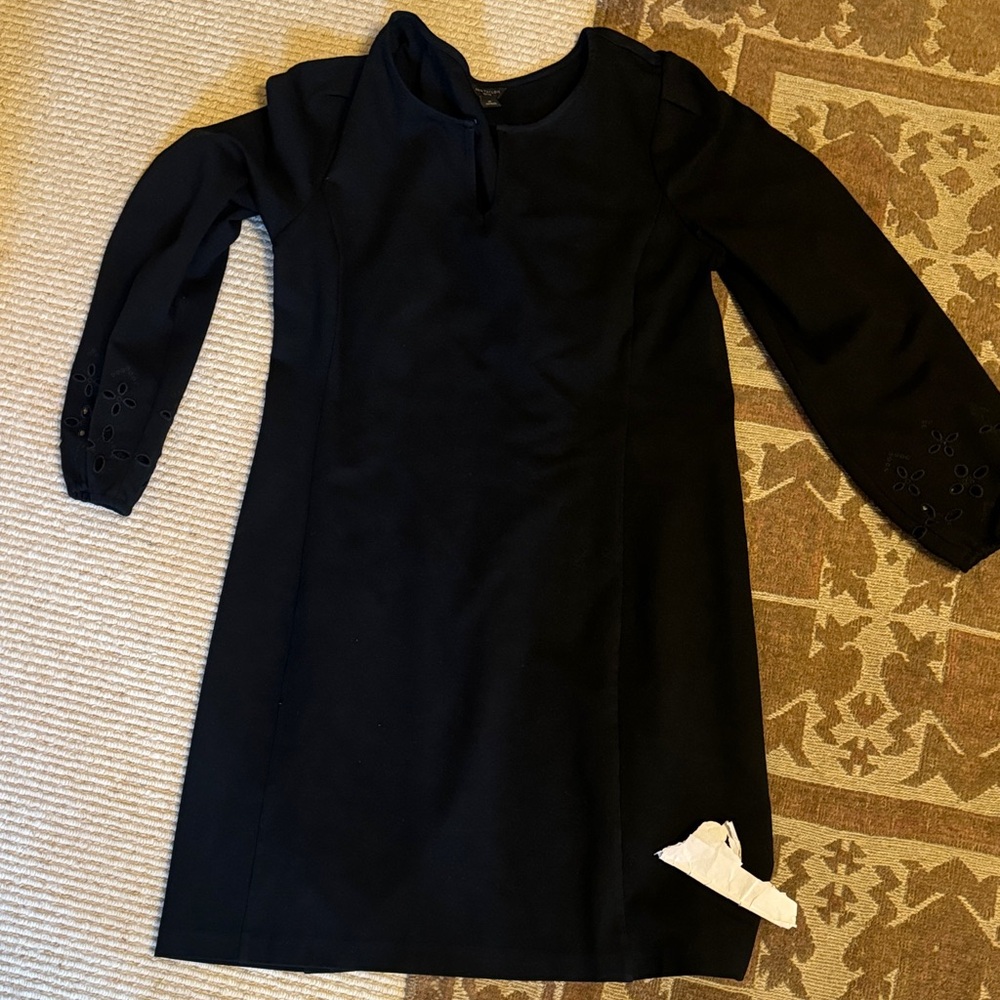 Ann Taylor Black Long Sleeve Dress